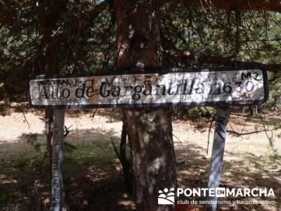 Senderismo Cueva Valiente - Alto de Gargantilla; senderismo alcala de henares